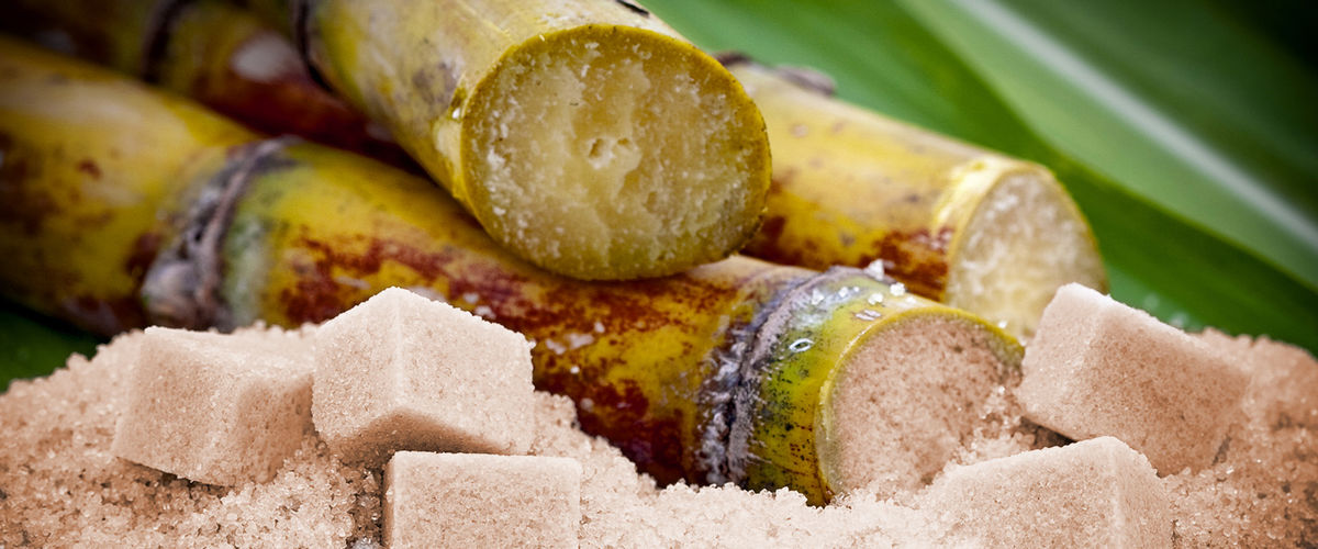 Čo je trstinový cukor a ako sa vyrába