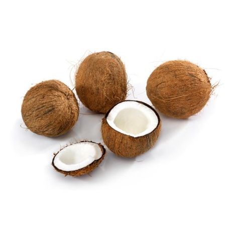 Kokosový orech 