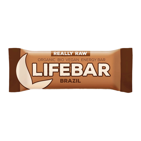 Tyčinka Lifebar brazílská Really Raw bio 47g Lifefood